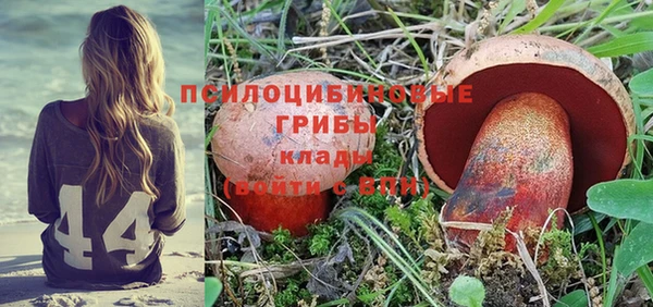 СК Аркадак