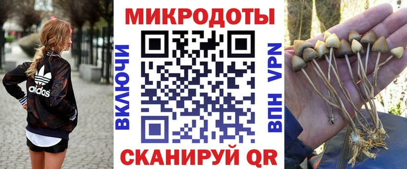 Галлюциногенные грибы GOLDEN TEACHER  Певек 